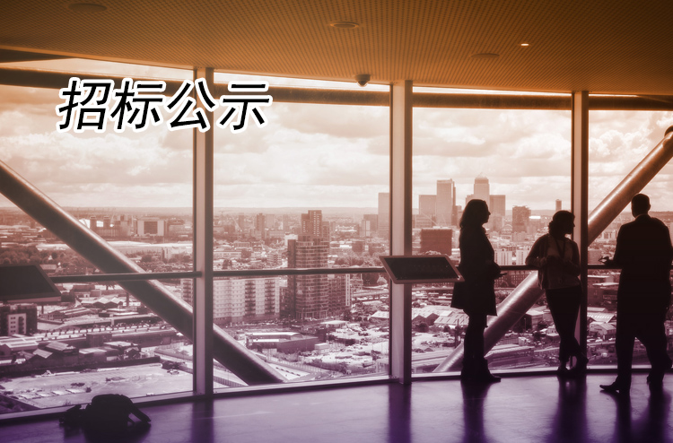 揚(yáng)州全域旅游有限公司飲料類采購項目(A包)成交公告